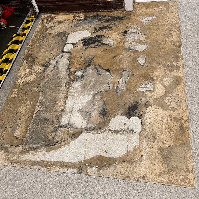 Failed commercial flooring removed exposing damaged subfloor.